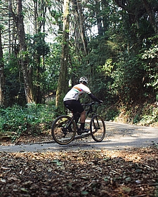 Radfahrer nimmt Kurve im Wald